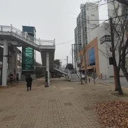 Ilsan Central Library - Ilsan