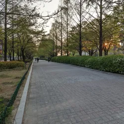 Ilsan Cultural Park - Ilsan