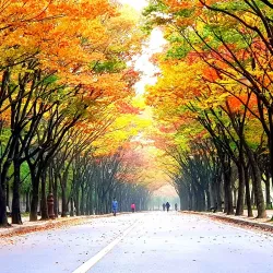 Incheon Grand Park - Incheon