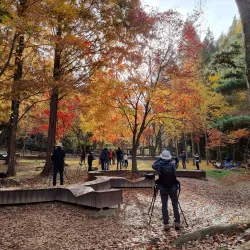 Incheon Grand Park - Incheon