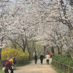 Incheon Grand Park - Incheon