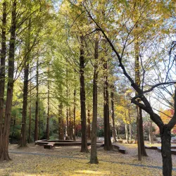 Incheon Grand Park - Incheon