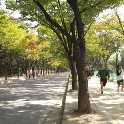 Incheon Grand Park - Incheon