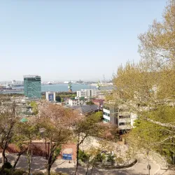 Jayu Park (Freedom Park) - Incheon