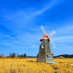 Sorae Ecology Park - Incheon