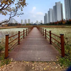 Sorae Ecology Park - Incheon