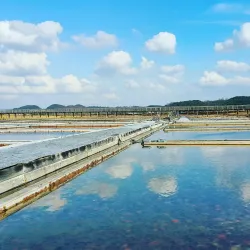 Sorae Ecology Park - Incheon