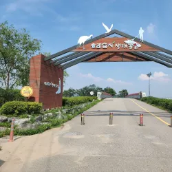 Sorae Ecology Park - Incheon