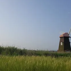 Sorae Ecology Park - Incheon