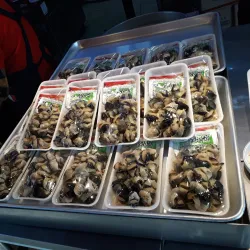 Soraepogu Port - Incheon