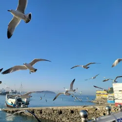 Wolmido Island - Incheon