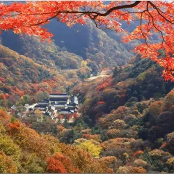 Gwangdeoksa Temple - Jangseong