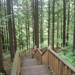 Jangseong Arboretum - Jangseong