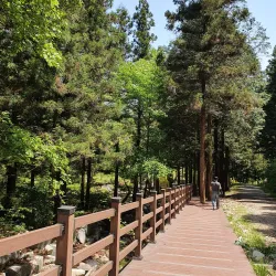 Jangseong Arboretum - Jangseong