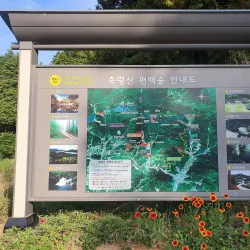 Jangseong Cultural Center - Jangseong