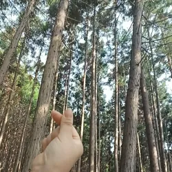 Jangseong Cultural Center - Jangseong