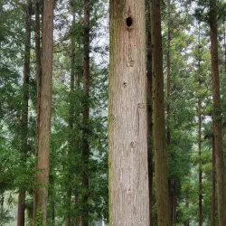 Jangseong Cultural Center - Jangseong