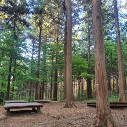 Jangseong Cultural Center - Jangseong