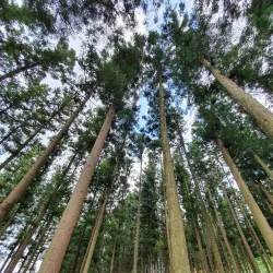 Jangseong Cultural Center - Jangseong