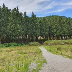 Jangseong Cultural Center - Jangseong