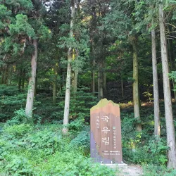 Jangseong Cultural Center - Jangseong