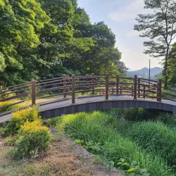 Jangseong Cultural Center - Jangseong