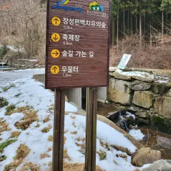 Jangseong Cultural Center - Jangseong