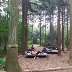 Jangseong Eco Park - Jangseong