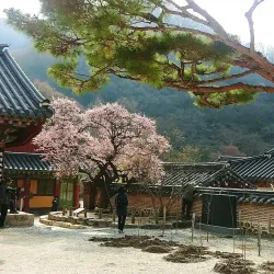 Jangseong Hot Springs - Jangseong