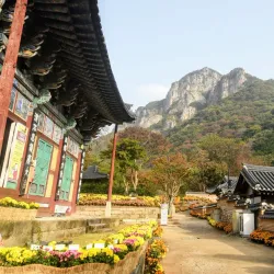 Jangseong Hot Springs - Jangseong