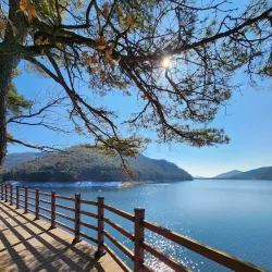 Jangseong Lake Park - Jangseong