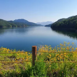 Jangseong Lake Park - Jangseong