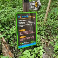 Jangseong Riverside Trail - Jangseong