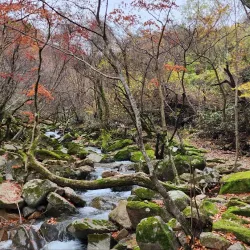 Mudeungsan Provincial Park - Jangseong