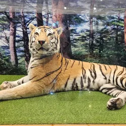 Jangsu County Arboretum - Jangsu