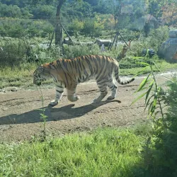 Jangsu County Arboretum - Jangsu