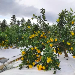 Jangsu Folk Village - Jangsu