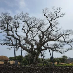 Jangsu Folk Village - Jangsu