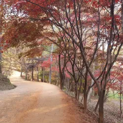 Jangsu Hiking Trails - Jangsu