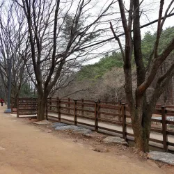 Jangsu Hiking Trails - Jangsu
