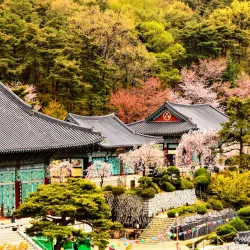 Gagwonsa Temple - Jecheon