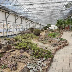 Jecheon Arboretum - Jecheon