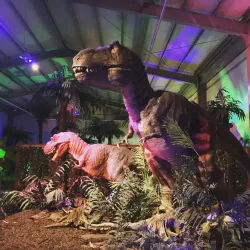 Jecheon Arboretum - Jecheon