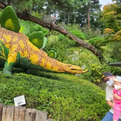 Jecheon Arboretum - Jecheon