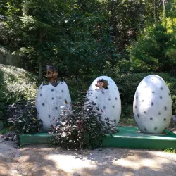 Jecheon Arboretum - Jecheon