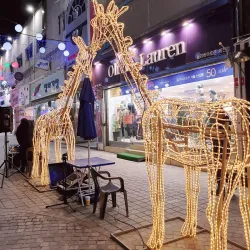 Jecheon Traditional Market - Jecheon