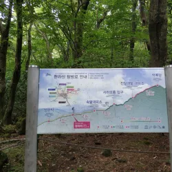 Hallasan National Park - Jeju