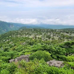 Hallasan National Park - Jeju