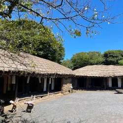 Jeju Folk Village Museum - Jeju