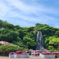 Jeju Folk Village Museum - Jeju